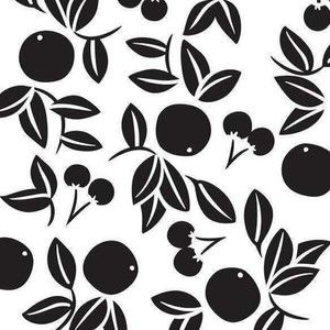 Darice Embossing Folder Cherry Scrapbook Paper Crafts Card Making